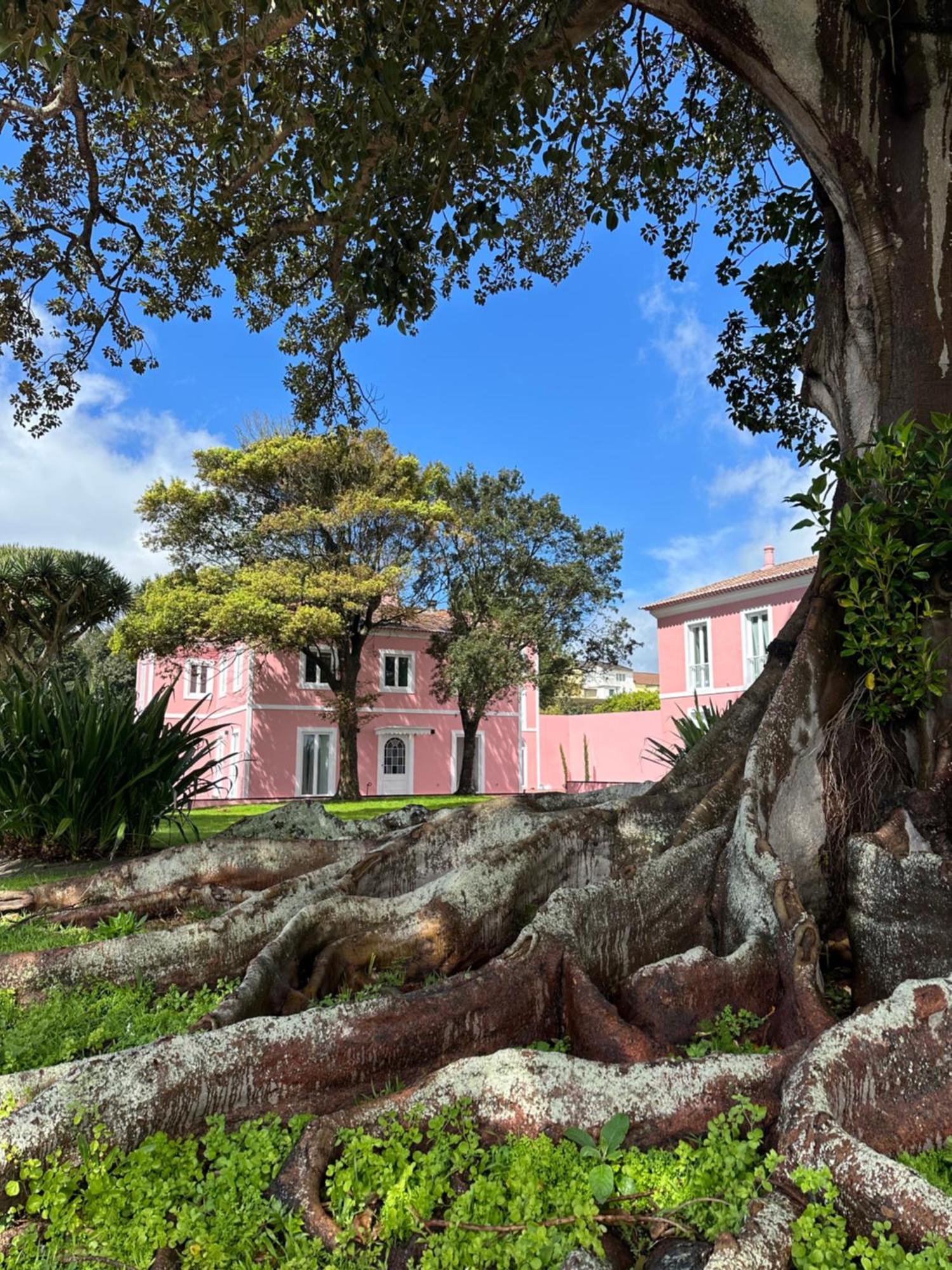 Solar Dos Cantos Botanic House & Garden Ponta Delgada Esterno foto
