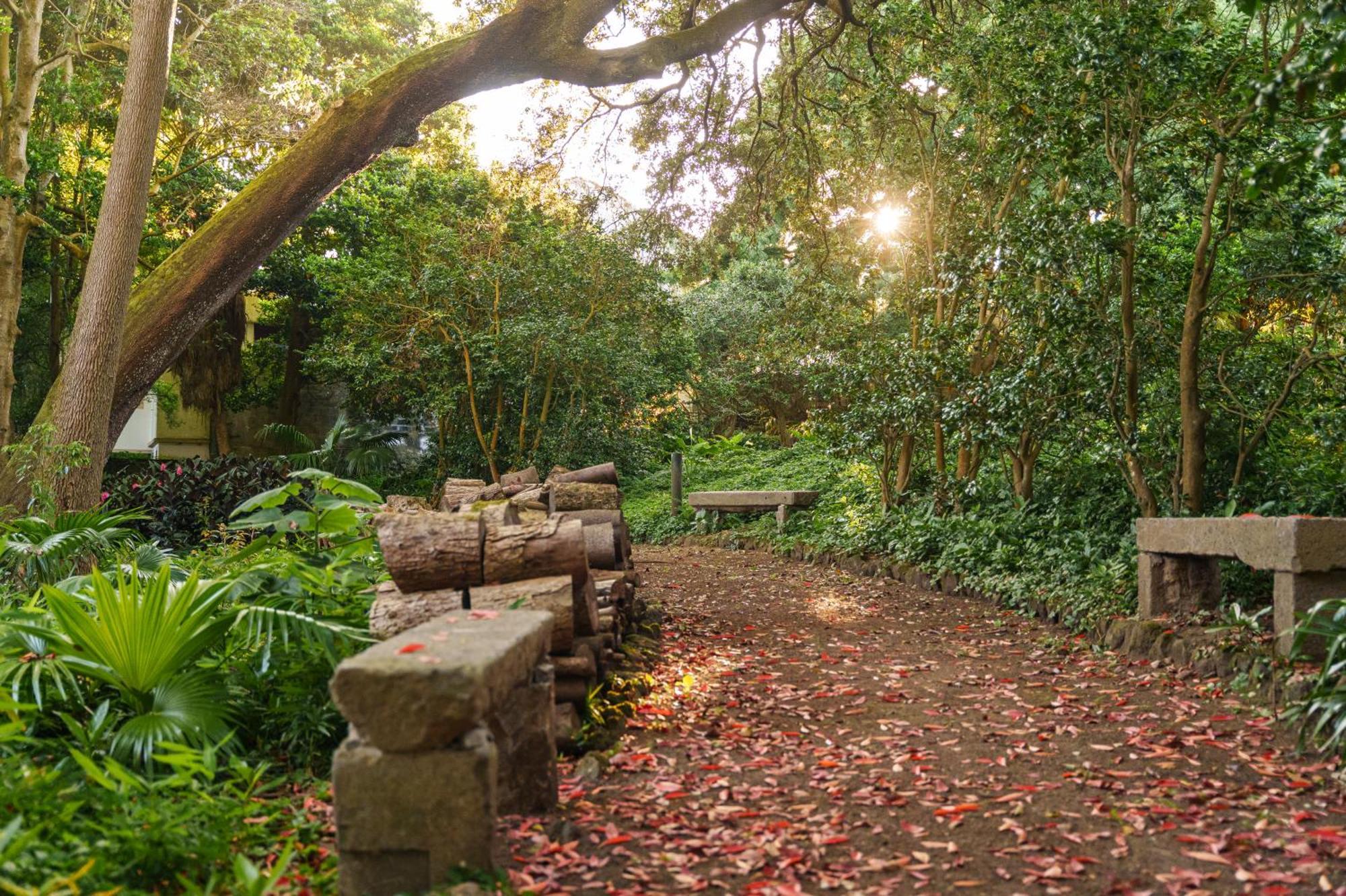 Solar Dos Cantos Botanic House & Garden Ponta Delgada Esterno foto